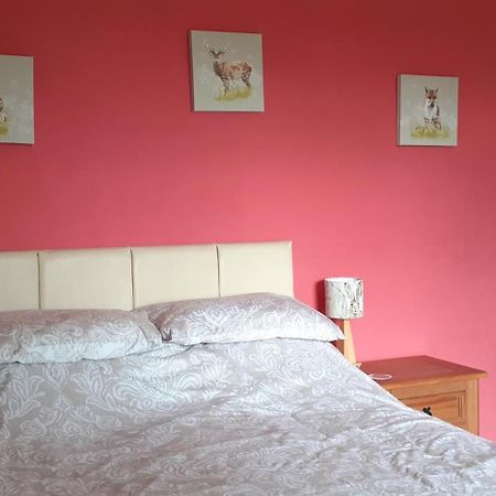 Bed and Breakfast Plumtree House Brigsteer Esterno foto